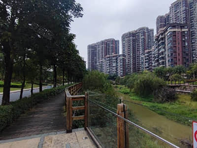 豆类：高楼目尽欲黄昏，豆荚叶上萧萧雨