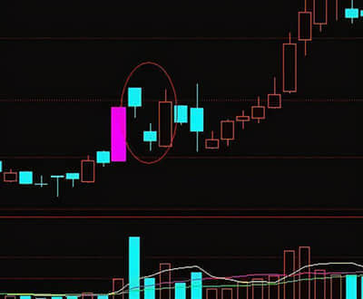 比特币震荡下跌 美国现货ETF三天“失血”7.4亿美元