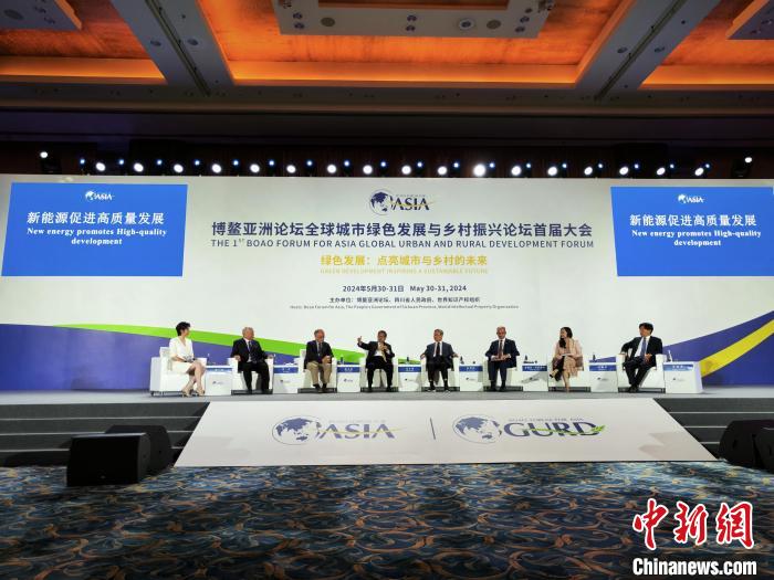 中外专家成都共话新能源促进高质量发展